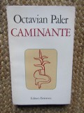 Caminante - Octavian Paler