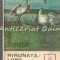 Minunata Lume A Pasarilor - I. Bordeianu