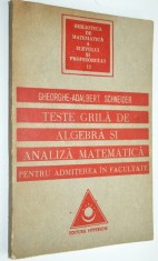 Teste grila de algebra si analiza matematica pentru admiterea in facultate