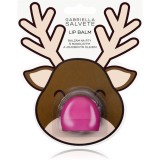 Gabriella Salvete Winter Time balsam de buze cu ulei de migdale 6,9 g