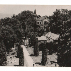 CPIB 15782 CARTE POSTALA - CLUJ. GRADINA BOTANICA, INTRAREA PRINCIPALA, RPR