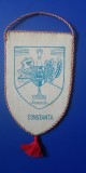 D9 14 - fanion - comunism - sport - tenis de masa - CSS 2 Stiinta Constanta