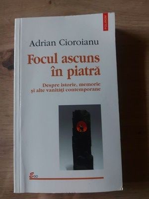 Focul ascuns in piatra- Adrian Cioroianu foto