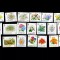 GUERSNEY 1992-1993-FLORI-Doua serii de cate 10 timbre nestampilate MNH