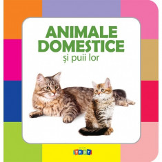 Animale domestice si puii lor |