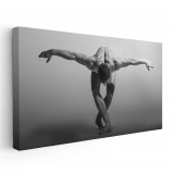 Tablou nud dansator balet barbat alb negru 1830 Tablou canvas pe panza CU RAMA 60x120 cm