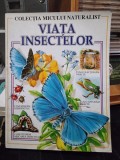 Viata insectelor, colectia micului naturalist