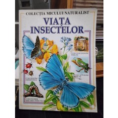 Viata insectelor, colectia micului naturalist