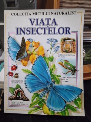Viata insectelor, colectia micului naturalist foto