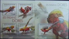 REP.BURUNDI - FAZANI-1 M/SH.+ 1 S/SH.-MNH** - RBU 28
