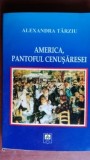 America, pantoful Cenusaresei-Alexandra Tarziu