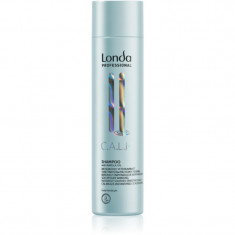 Londa Professional Calm sampon delicat pentru piele sensibila 250 ml