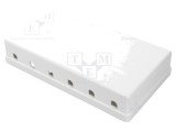 Carcasă albă Keystone DIGITUS cu 6 porturi, montare perete