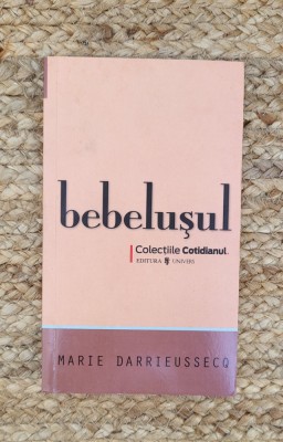 BEBELUSUL -MARIE DARRIEUSSECQ foto