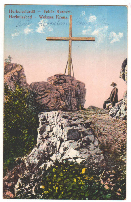 SV * Romania BAILE HERCULANE * CRUCEA ALBA