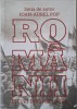 Romanii. Eseuri dinspre Unire &ndash; Ioan-Aurel Pop - Carte Istorie, NOU/Anticariat