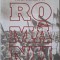 Romanii. Eseuri dinspre Unire &ndash; Ioan-Aurel Pop