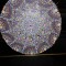 Mandala rotunda panza paianjen pictat manual acrylic pictura in puncte decor perete pe disc vinil vinyl uzat de 12&rdquo;