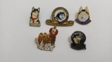 Lot 5 Insigne diferite -Caine/ Caini Husky-pinuri-2