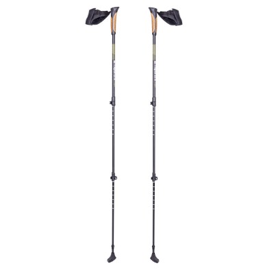 Bete Nordic Walking inSPORTline Slogen FitLine Training foto