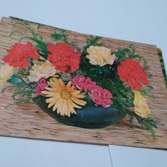 CARTE POSTALA FELICITARE CIRCULATA