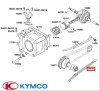 Patina fixa distributie originala Kymco Bet&amp;Win - Dink - Dink Classic - Dink LX - Grand Dink 4T 125-150cc