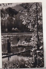 bnk cp Vedere din statiunea Lacul Rosu - circulata