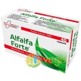 Alfalfa Forte 40cps