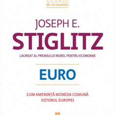 Euro. Cum amenință moneda comună viitorul Europei - Paperback brosat - Joseph E. Stiglitz - Publica