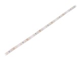 Bandă LED Alb Neutru 12V IP65