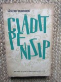 Cladit pe nisip - Gunther Weisenborn - 1963