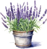 Cumpara ieftin Sticker decorativ, Ghiveci cu Lavanda, Mov, 62 cm, 1339STK-3