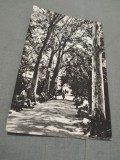 Cumpara ieftin CARTE POSTALA BUZIAS VEDERE DIN PARC CIRCULATA