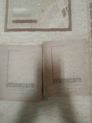 &amp;Icirc;ntunecare Cezar Petrescu foto