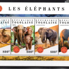 TOGO 2018, Fauna, serie neuzata, MNH