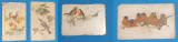 Pasari - Carte Postala veche din anii 1920 - Lot x 4 bucati, Circulata, Printata
