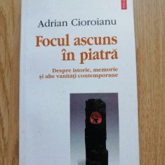 Adrian Cioroianu - Focul ascuns in piatra - Editura: Polirom 2002