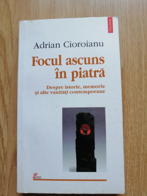 Adrian Cioroianu - Focul ascuns in piatra - Editura: Polirom 2002 foto