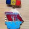 Insigna Bigadier al muncii Patriotice