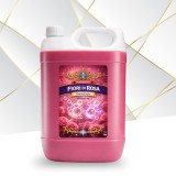 Detergent Fiori di Rosa Profesional NanoCaps, 5 Kg