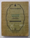 COLOANA INFINITA - DIN GANDIREA MODERNA , COLECTIA &#039;&#039;COGITO &#039;&#039; , 1987