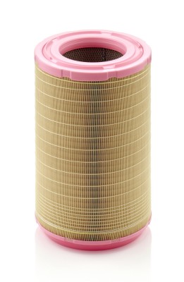 MANN-FILTER C 31 1254 Filtru aer foto