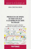 Productia de spatiu si viata sociala a lucrarilor de arta in strada - Ana-Cristina Irian