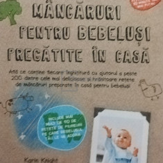 Karin Knight - Cele mai bune mancaruri pentru bebelusi pregatite in casa (editia 2013)