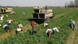 Agricultura austria angajari