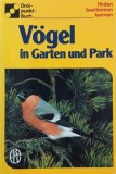 Vogel in Garten und Park