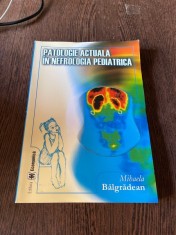 Mihaela Balgradean - Patologie actuala in nefrologia pediatrica foto