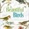Beautiful Birds Coloring Book