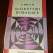 VRAJA GEOMETRIEI DEMODATE - VIOREL GH. VODA TD