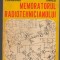 C8824 MEMORATORUL RADIOTEHNICIANULUI - STELIAN LOZNEANU